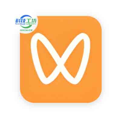 WeChat Video Downloader 微信视频号下载器 v251231